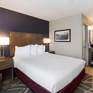 Small Queen Room Near Elevator